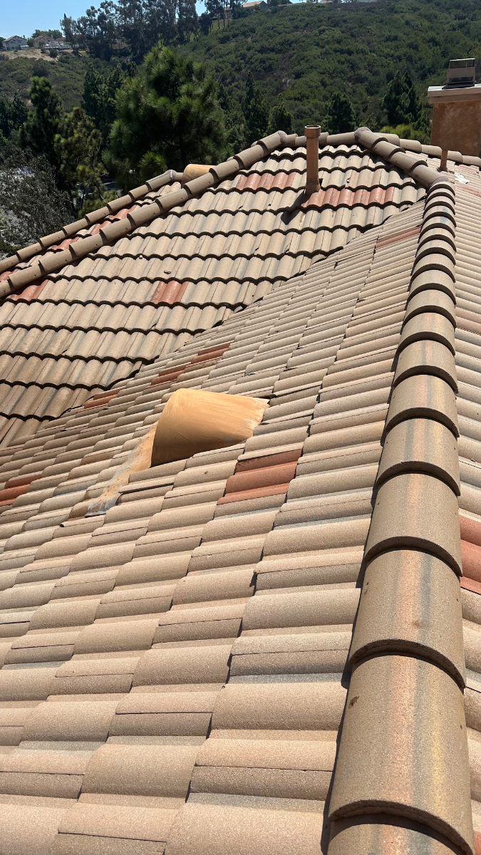 After: Roof Cleaning in Oceanside