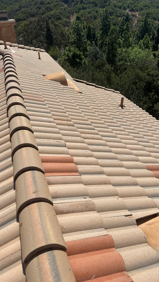 After: Roof Cleaning in Oceanside