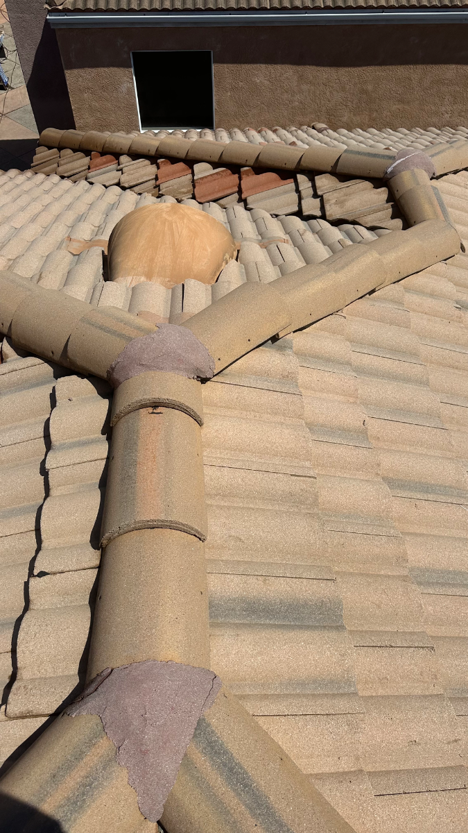 After: Roof Cleaning in Oceanside