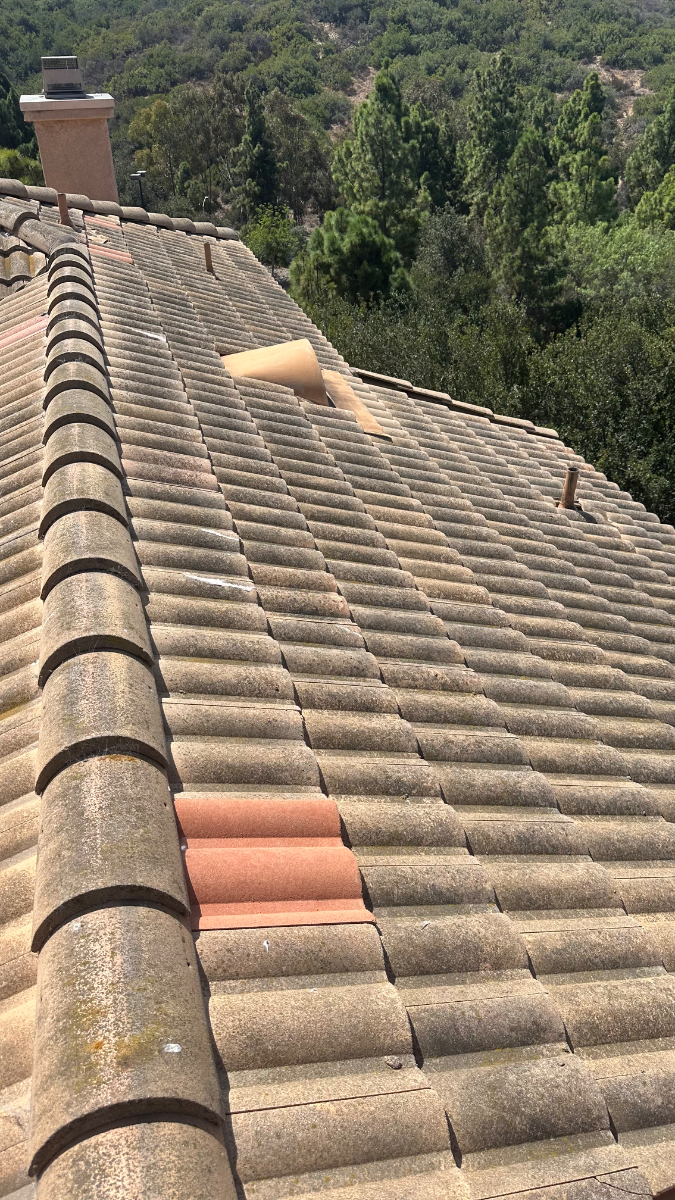 Before: Roof Cleaning in Oceanside